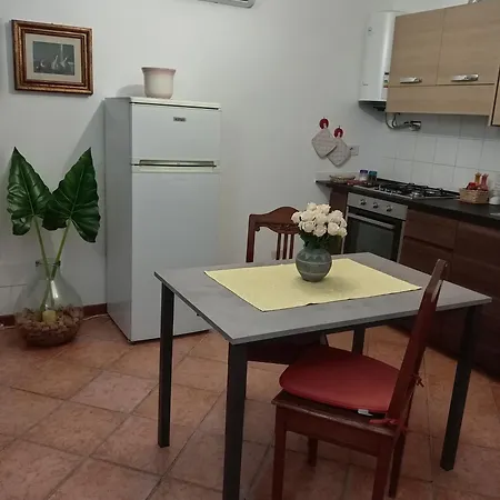 Lusitana C2 * 폴리뇨