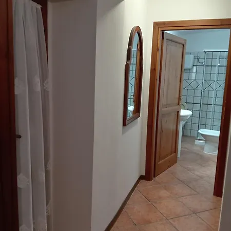 Lusitana C2 * 폴리뇨