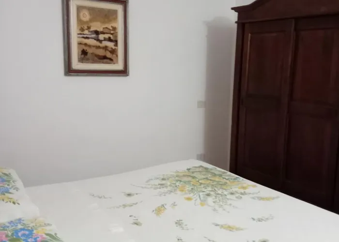 Lusitana C2 * Foligno