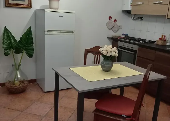 Lusitana C2 * Foligno