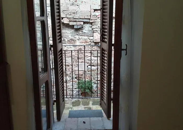 Lusitana C2 * Foligno